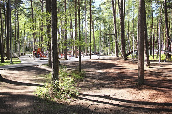 122-Парк приключении Тарзан